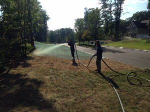 hydroseeding-cromwell-ct